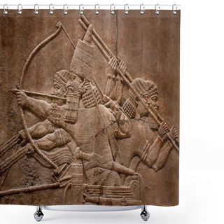 Personality  Ancient Relief Of Assyrian Fighting Shower Curtains