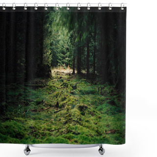 Personality  The Green Lung Of Our Earth - The Forest Shower Curtains