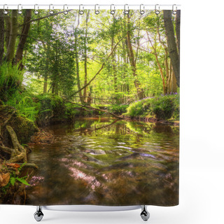 Personality  Low Point Of View Along Stream Running Through Forest With Deep Shower Curtains