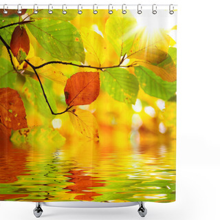 Personality  Autumn Branch Leaves Reflected In Water Shower Curtains