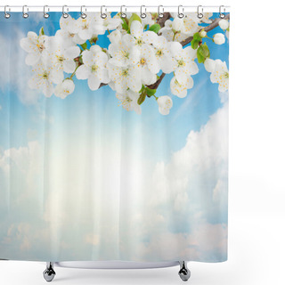Personality  Blossoming Plum Flowers On Sky Background Shower Curtains