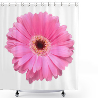 Personality  Pink Gerbera Head Flower Isolated On White Background. Flat Lay, Top View Shower Curtains