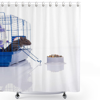 Personality  Degu Squirrel  Shower Curtains