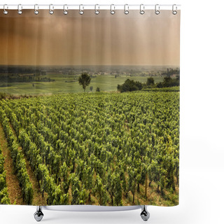 Personality  Vineyard In Burgundy Shower Curtains
