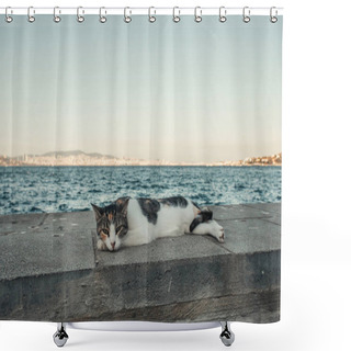 Personality  Street Cat Lying On Seafront Under Cloudless Sky Shower Curtains
