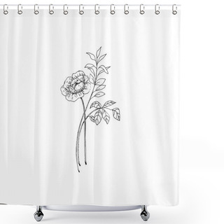 Personality  Simple And Clean Hand Drawn Floral. Sketch Style Botanical Illustration. Great For Invitation, Greeting Card, Packages, Wrapping, Etc.  Shower Curtains