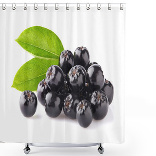 Personality  Chokeberry With Leaves Shower Curtains