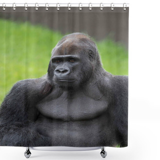 Personality  Handsome Shower Curtains