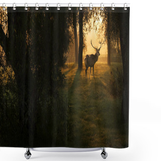 Personality  Deer In Sunset In The Forest Shower Curtains