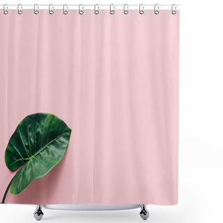 Personality  Top View Of Green Palm Leaf On Pink, Minimalistic Concept  Shower Curtains
