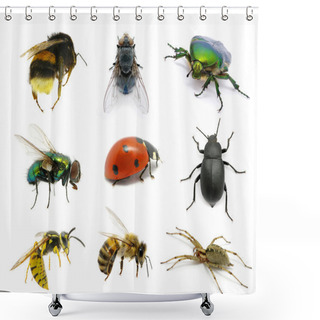 Personality  Set Of Insects Shower Curtains