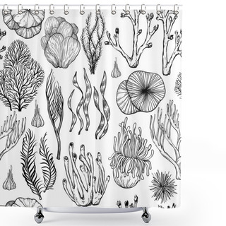 Personality  Seamless Pattern With Hand Drawn Corals, Sea Sponges, Living Organisms. Black And White Shower Curtains