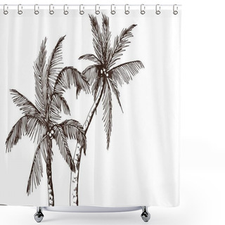 Personality  Tropical Palm Trees Shower Curtains