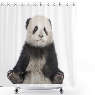 Personality  Giant Panda (6 Months) - Ailuropoda Melanoleuca Shower Curtains