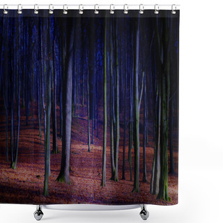 Personality  Fantasy Fairy Forest Shower Curtains