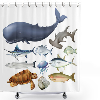 Personality  Aquatic Animals On White Shower Curtains