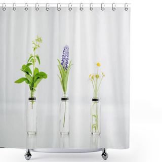Personality  Salvia, Hyacinth And Chamomile Plants In Transparent Bottles On White Background  Shower Curtains