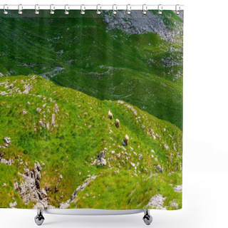 Personality  Three Sheep Walking On Valley In Durmitor Massif, Montenegro Shower Curtains