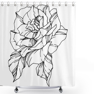 Personality  Vector Rose. Floral Botanical Flower. Engraved Ink Art. Isolated Rose Illustration Element. Beautiful Spring Wildflower Isolated On White. Shower Curtains