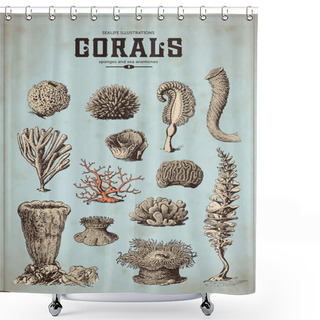 Personality  Sea Set - Corals, Sponges Shower Curtains