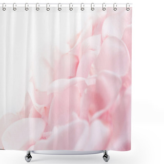 Personality  Pink Rose Petals Shower Curtains