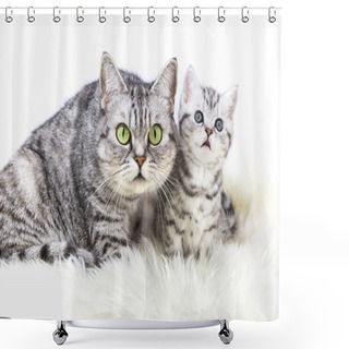 Personality  Mother Silver Tabby Cat With Young Kitten Shower Curtains
