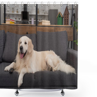 Personality  Adorable Golden Retriever Lying On Couch With Remote Control Shower Curtains