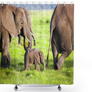 Personality  Elephants Family On Savanna. Safari In Amboseli, Kenya, Africa Shower Curtains