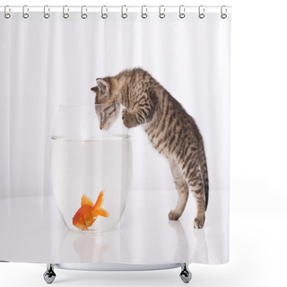 Personality  Home Cat And A Gold Fish Shower Curtains