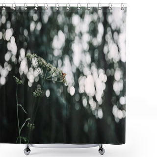 Personality  Selective Focus Of Bee On Cow Parsley Flowers With Blurred Background Shower Curtains