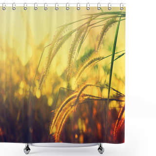 Personality  Prairie Evening. Shower Curtains