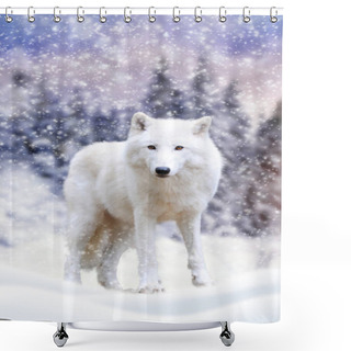 Personality  Arctic Wolf Winter In Nature Shower Curtains