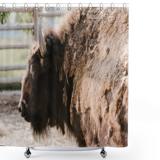 Personality  Close Up View Of Wild Bison At Zoo Shower Curtains