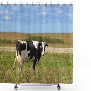 Personality  Dairy Cow Shower Curtains