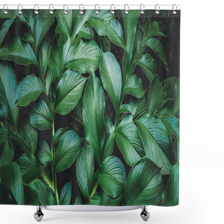 Personality  Tropical Leaf, Abstract Green Texture, Nature Background Green Leaves Pattern Background, Shower Curtains