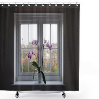 Personality  Window With Raindrops On The Glass And Orchid Plant With Pot Shower Curtains