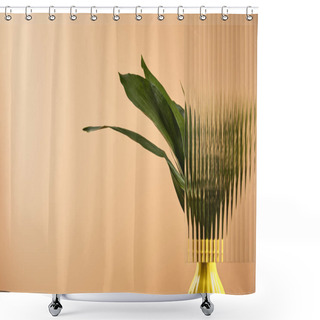 Personality  Green Leaves Of Plant In Yellow Pot Behind Reed Glass Isolated On Beige Shower Curtains