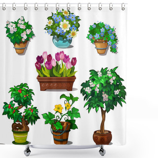 Personality  Seven Images Of Domestic And Garden Plants In Vase And Pots. Botanical Set Of Flowers And Bonsai Trees. Vector Illustration In Cartoon Style Isolated On White Background Shower Curtains