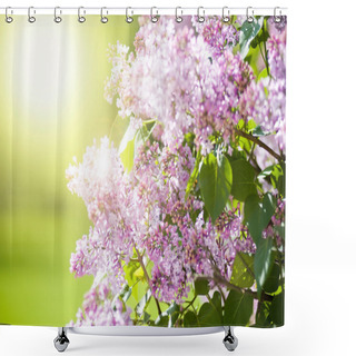 Personality  Spring Shower Curtains