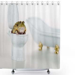 Personality  Selective Focus Of Funny Green Frog On Small Toilet Bowl Near Luxury Bathtub Isolated On White Shower Curtains