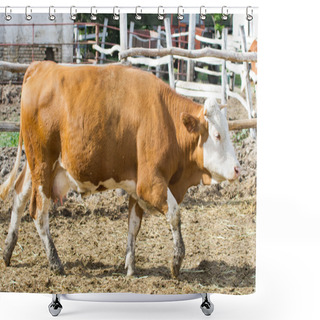 Personality  Cow On Farmland Shower Curtains