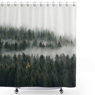 Personality  Low Cloud Layers Covering Alpine Mountain Forest In South Tyrol, Italy. Shower Curtains
