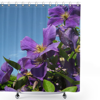 Personality  Clematis Shower Curtains