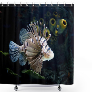 Personality  Lionfish Shower Curtains