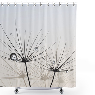 Personality  Dandelions. Vector. Shower Curtains