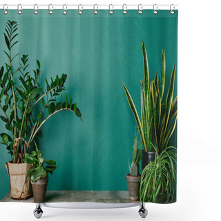 Personality  Different Plants On Rusty Table On Green Background Shower Curtains