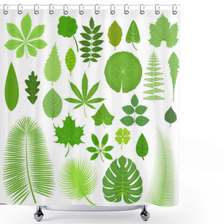 Personality  Leaves Set Vector Illustration. Shower Curtains
