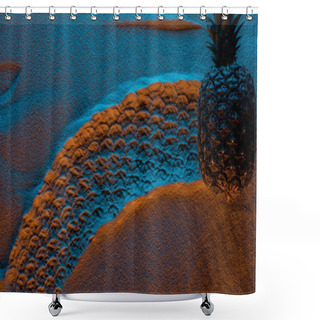 Personality  Top View Of Pineapple Trace On Sand With Color Filter And Copy Space Shower Curtains