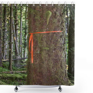 Personality  Trail Marker On Tree Shower Curtains
