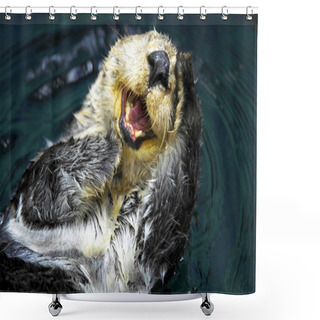Personality  Sea Otter Shower Curtains